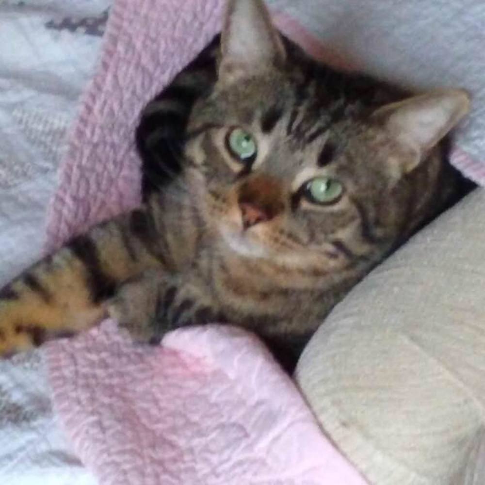 Meet your Posher, Sandra